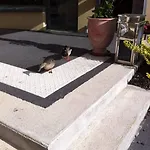 Hotel Fasthotel Le Rale Des Genets - Un Fh Collection 2*