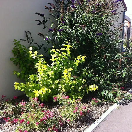 Fasthôtel Le Râle Des Genêts Dun-sur-Meuse